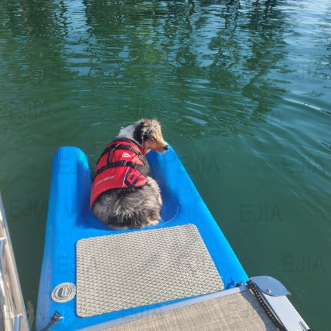 Inflatable Floating Dog Ramp