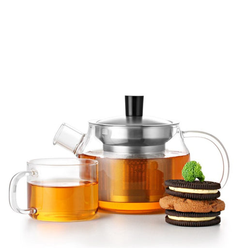 Mini Modern Borosilicate Glass Teapot with Infuser